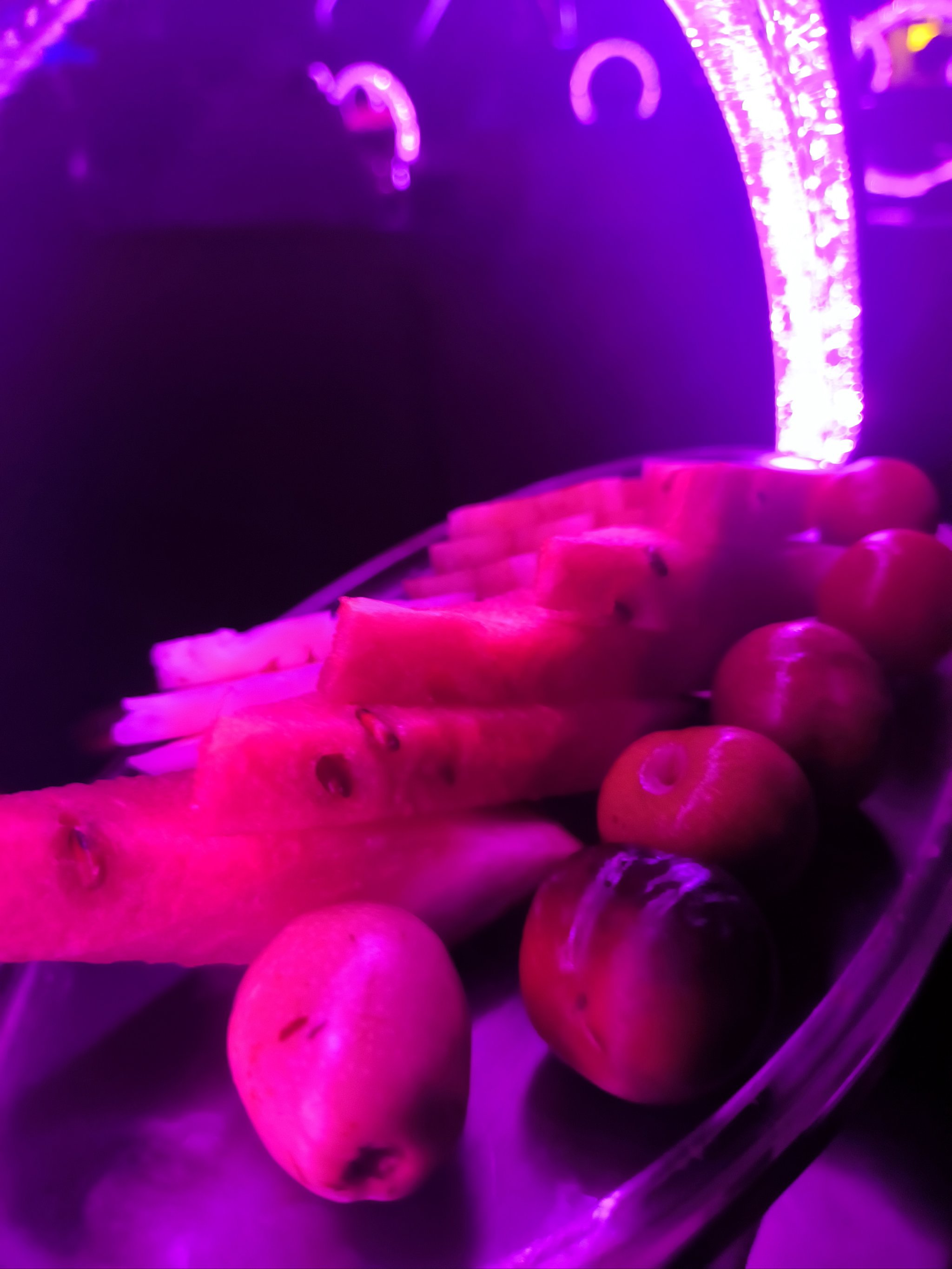 怎么划算邢台商务ktv-南和县ktv预定